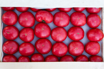 Ripe tomatoes are stacked in rows in a box. New crop. View from above