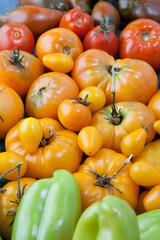 Lots ripe fresh yellow and red tomato and bell peppers. Harvest concept