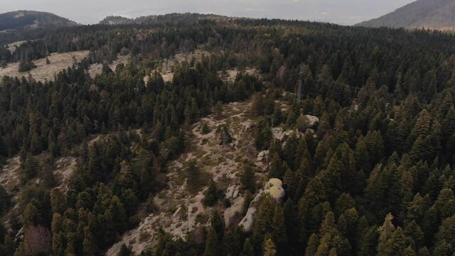 Ascending above a beautiful forest in the mountain, Turkey. Hills covered with green spruce trees 