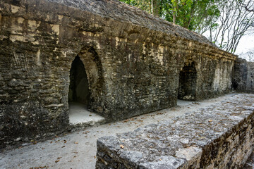 Fototapeta na wymiar Cahal Peh Temple ancient Mayan temple near San Ignacio in Belize.