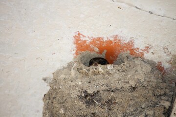 Hirondelles © tatonne21