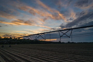 sunset over the field