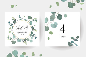 Herbal eucalyptus selection vector frames