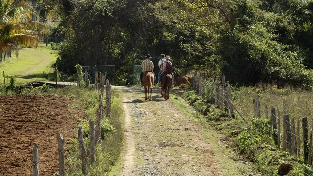 Some people taking a horse ride through a pathway in the mountains of Vi&ntilde;ales, Cuba