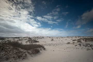 coastal desert landscape of Sotavento de Jadia in Fuerteventurawith sand dune