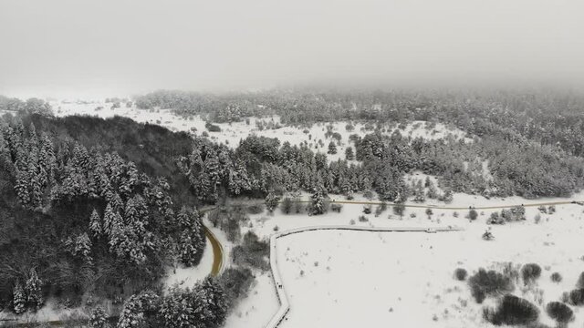 Flying over snow-covered trees in the middle of mountains, Bolu Region. Aerial view of beautiful natural landscape in winter time. 