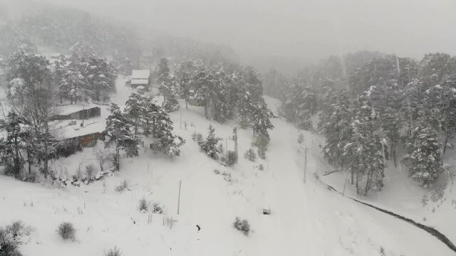 Snow-covered trees from the top. Abant national park, Bolu Region. Beautiful natural landscape in winter time. Snowy weather. 