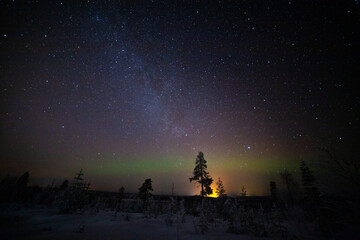 Arctic Night