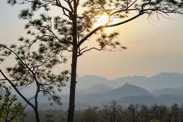 Landscape of Thailand 