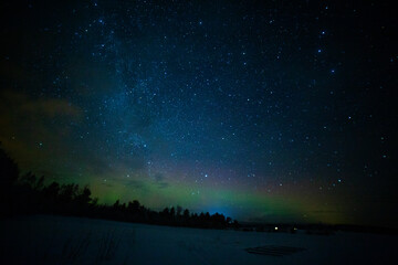 Fototapeta premium Arctic Winter