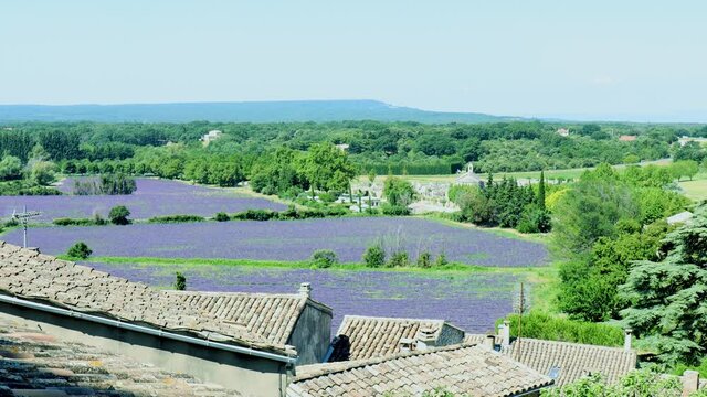 Holiday in France. View standing at the castle of Grignan, Provence, France. Fields of Lavender and landscape of the countryside. 