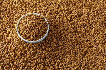 pet food fills the bowl and the space around it