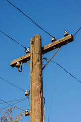 Old wooden telephone pole on a background of blue sky. The small depth of field