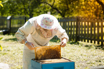 The beekeeper holds a honey cell with bees in his hands. A beekeeper inspects a cellular frame in...