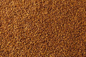 background of dry pet food for advertising