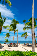 Naklejka premium Caribbean sea view, bavaro beach, Punta cana, Dominican Republic