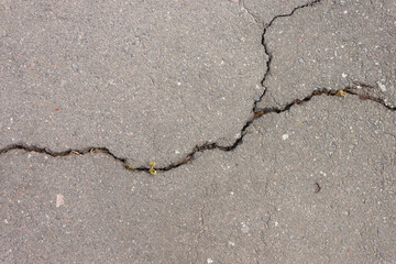 Crack in the asphalt. Texture of damaged asphalt
