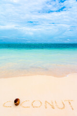 Fototapeta na wymiar Coconut on caribbean white sand with turquoise sea background, Bavaro beach, Punta Cana, Dominican Republic