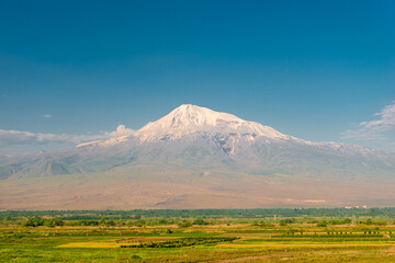 Beautiful Big Ararat with a snowy peak and green field on a sunny day landscape