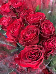 Closeup of beautiful bunch of red roses