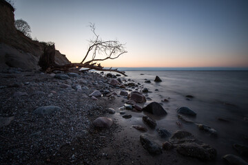 Beautiful sunset with a fallen tree on a baltic sea