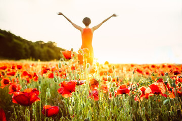 Focused red poppy flower and blurred back view girl in flowers meadow in sunset. Young woman in red dress arms raised up to the sky, celebrating freedom. Positive emotions feeling life, peace of mind.