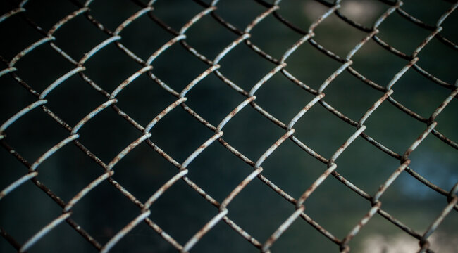 Old metal mesh closeup. Trellised fence. Beautiful background. Peeling paint. High quality photo