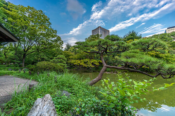 Wide angle view of Hibiya Park or Hibiya Koen (日比谷公園). Urban public park located in Tokyo, Japan