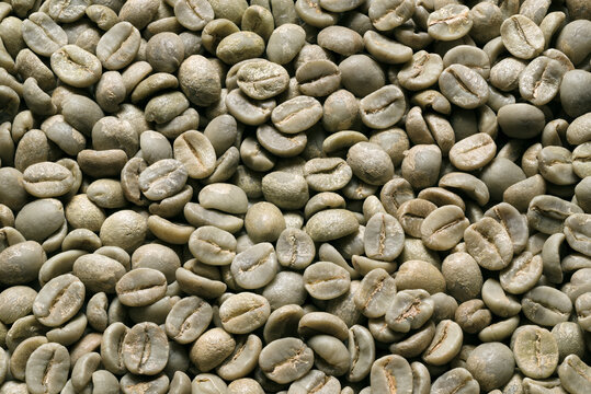 Rohe unger&ouml;stete gr&uuml;ne Kaffeebonen Rohkaffeebohnen
roh Kaffee Hintergrund
