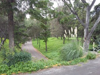 Parque nublado sin gente