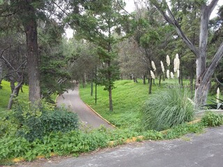 Parque sin gente