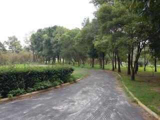 Camino del parque sin gente