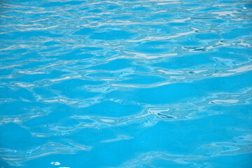 Fototapeta premium Soft waves in swimming pool. Background and texture of natural crystal clean water.