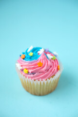 Cupcake on a blue background