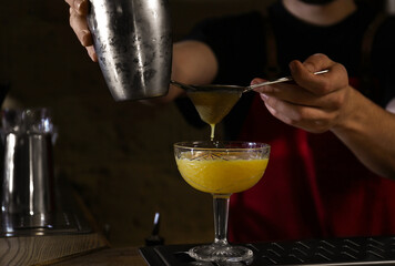 Bartender preparing fresh alcoholic cocktail at bar counter, closeup