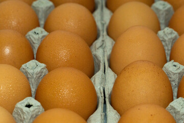 Eggs Brown Large organized nicely in lines in egg carton close up stock photograph