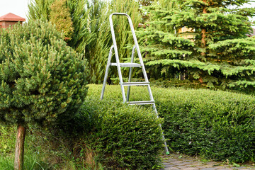 Gardener's ladder standing in the green garden outdoors. Gardening concept