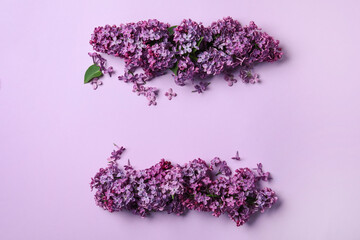 Beautiful lilac blossom on violet background, flat lay. Space for text