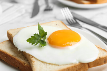 Tasty fried chicken egg with bread and parsley on plate, closeup