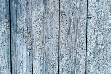 Fototapeta na wymiar Light blue weathered wooden background with cracked paint.