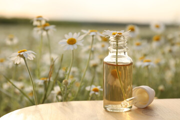 Bottle of essential oil with chamomile flower and pipette on wooden table in field. Space for text