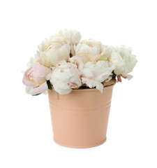 Beautiful peonies in bucket isolated on white