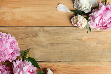 Beautiful peonies on wooden table, flat lay. Space for text