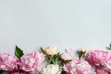 Beautiful peonies on light grey background, flat lay. Space for text
