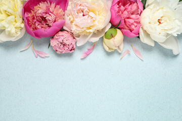 Beautiful fresh peonies on light blue background, flat lay. Space for text