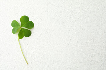 Clover leaf on white table, top view with space for text. St. Patrick's Day symbol