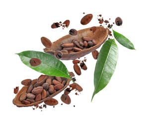 Cocoa pods and beans falling on white background