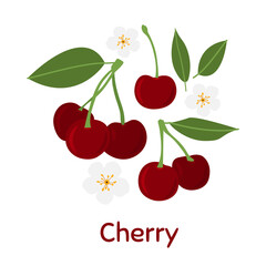 Cherry. Vector Illustration EPS.