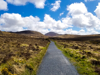Connemara Path
