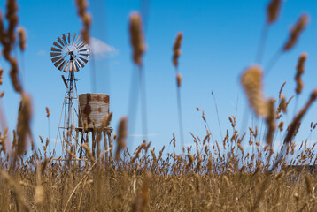 Windmill in empty farm field in outback Australia.